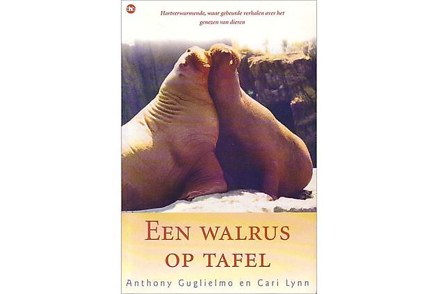 Anthony Guglielmo Een walrus op tafel - Praktijk PrimaVera Finsterwolde