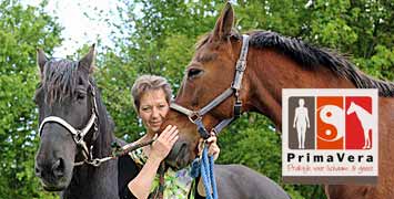 Massages voor mens en dier en tevens coaching m.b.v. het paard - Praktijk PrimaVera Finsterwolde