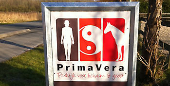 Waarom Praktijk PrimaVera in Finsterwolde? - Praktijk PrimaVera Finsterwolde