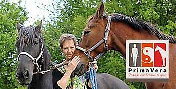 Massages voor mens en dier en tevens coaching m.b.v. het paard - Praktijk PrimaVera Finsterwolde